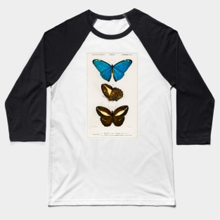 Types of Butterflies Baseball T-Shirt